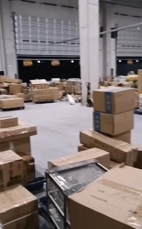 双十一|女生运快递有多拼，萌娃吐真相：我妈就有119单