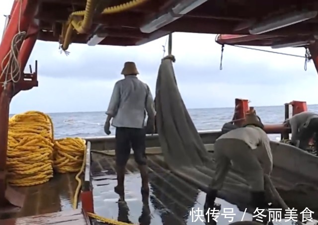 捕捞|原来带鱼是这样捕捞的，难怪每一条都“掉漆”了，真是长见识了