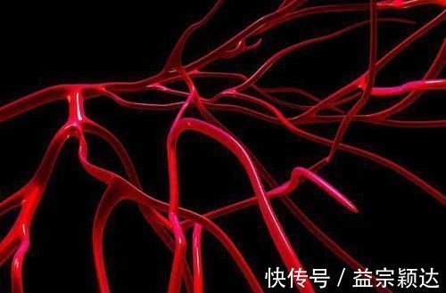 血液|血管垃圾的“克星”来了,每天吃一些,血液不粘稠,血栓溶干净