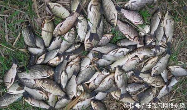 下钩|冬季钓鲫鱼,避开这四种钓位,这里下钩10有9空!