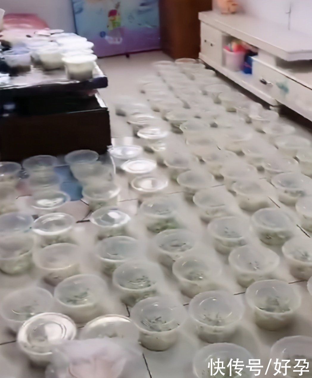 智能手机|三岁娃用爸爸手机下单点了100碗炸酱面,家长的处理方法很高明