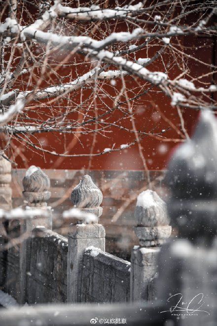 初雪|初雪遇大寒 瑞雪兆丰年