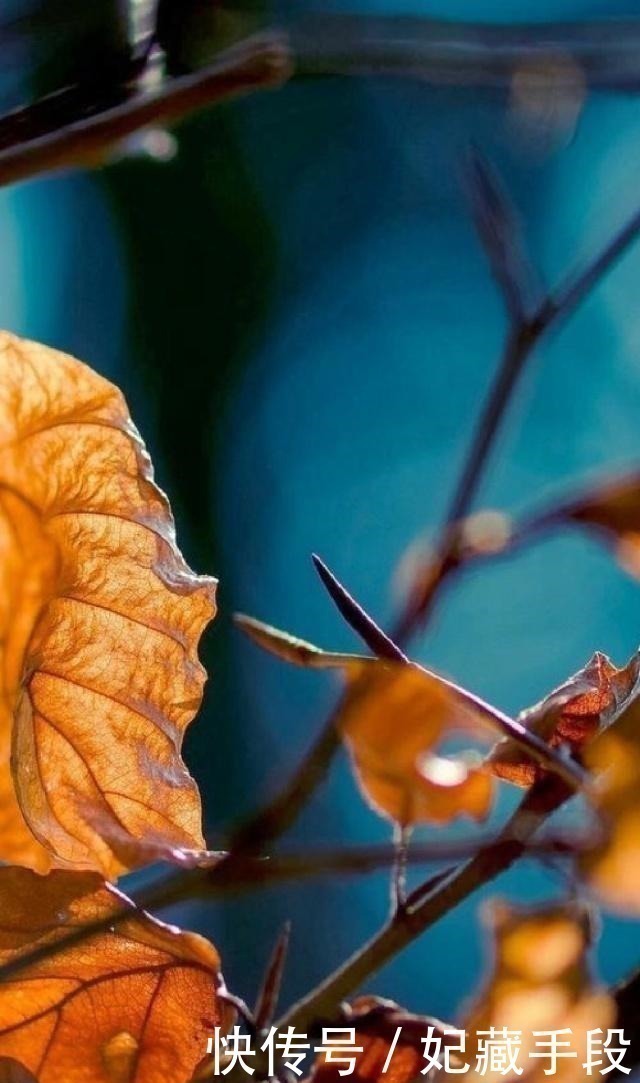 好女人!一生不可不读的25句经典语录,句句直指人心,让人赞不绝口