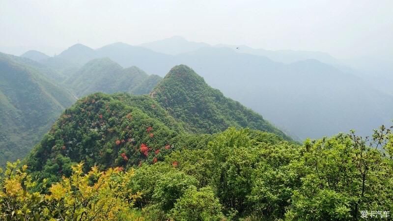 山上开遍映山红