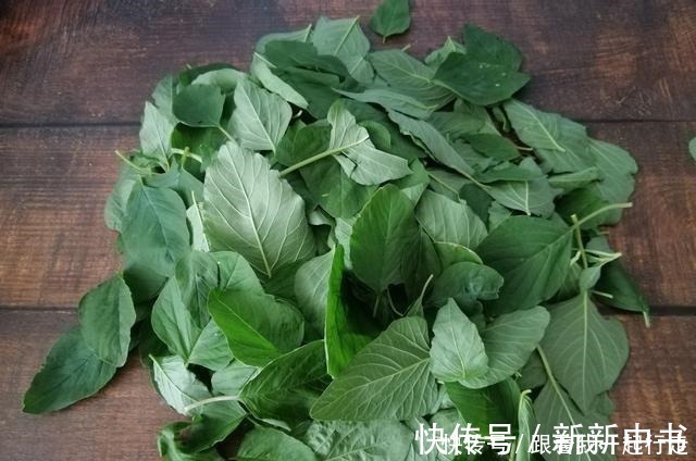 钙库|藏在田间地头的“天然钙库”，不花一分钱，钙是菠菜的3倍