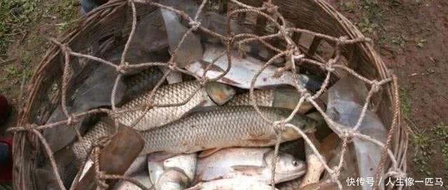 刘伯温|刘伯温死前送朱元璋一筐鱼，为何朱元璋17年后才理解用意？