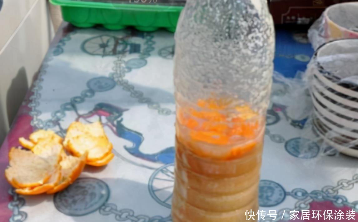 家庭养花选它制作肥料,了解做法,才能既省钱好用又没臭味