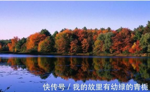 爱默生|看完《瓦尔登湖》这15句,明白为啥是清华校长力荐的“必读经典”