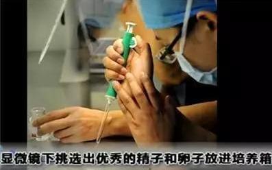 做试管婴儿的全部过程(附图解),看着都疼,可怜天下父母心