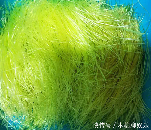 它是“减脂菜”,一分钱不要,瘦出小蛮腰,而且刮油抗皱又淡斑