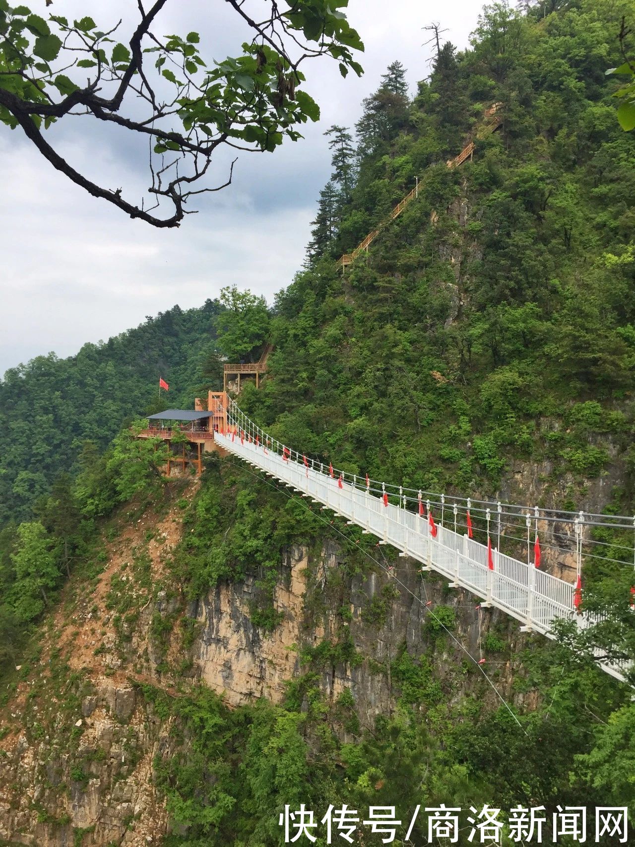 塔云山|塔云山——山顶上的温柔云海