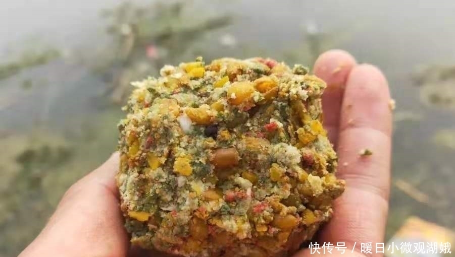 鲫鱼|如何从杂鱼堆中钓获大板鲫?果断试用这3招,钓上的鱼巴掌大