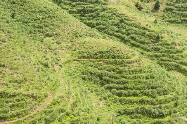 我国有条超惊险公路，如白龙盘山，在此开车超刺激，被誉为英雄路