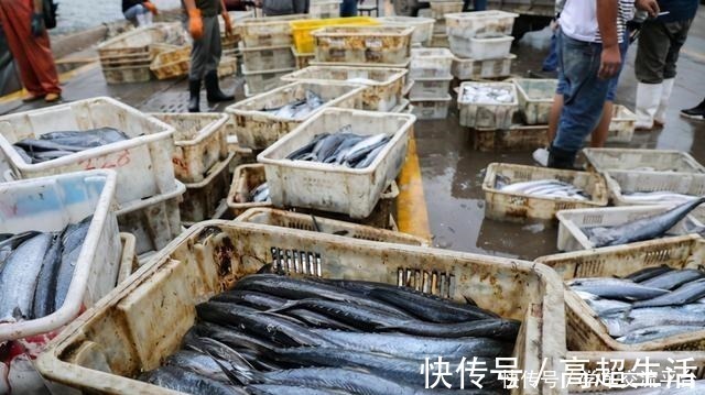 这4种海鱼值得大家一吃!比猪肉营养,独具鲜美还便宜,别错过!