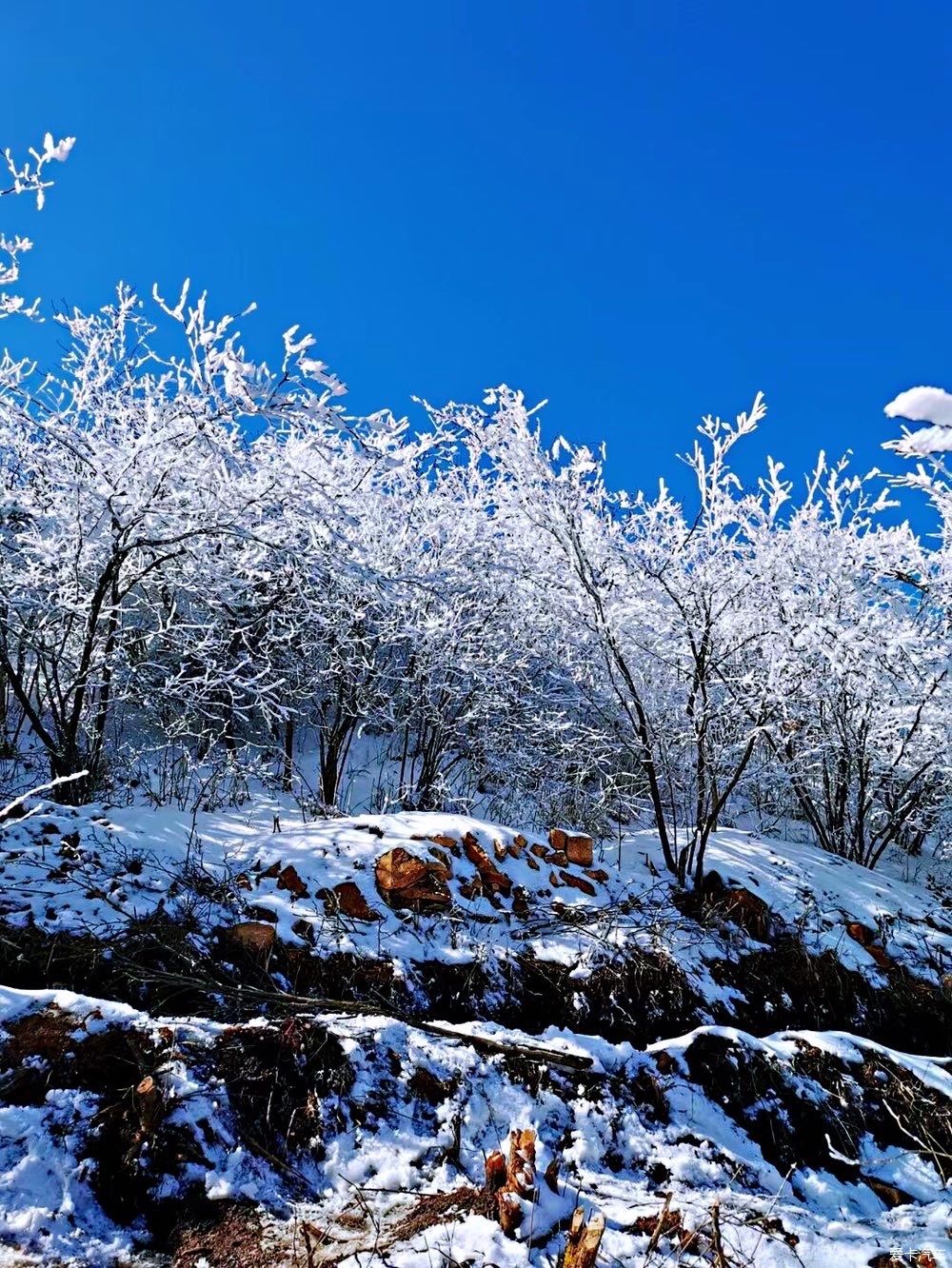 西藏|冬天的雪是上帝写给人间的诗