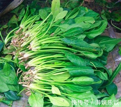 糖尿病患者|糖尿病吃什么蔬菜健康以下15种蔬菜健康营养,适当多吃