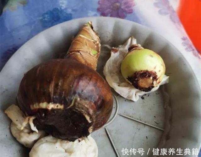 养花不生根赶紧塞团卫生纸,大白根蹭蹭冒!养花不生根赶紧塞团卫生纸,大白根蹭蹭冒!