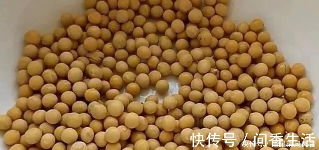 黄豆酱|我家这样吃黄豆,简单一做6分钟出锅,比豆浆好喝,比黄豆酱下饭