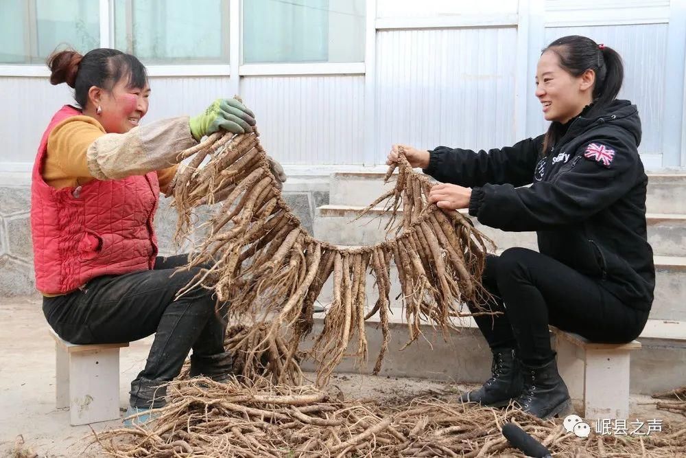 岷县的春夏秋冬，看不够！