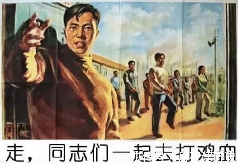 古代|“打鸡血”是怎么来的60年代曾风靡一时，人们注射鸡血“养生”