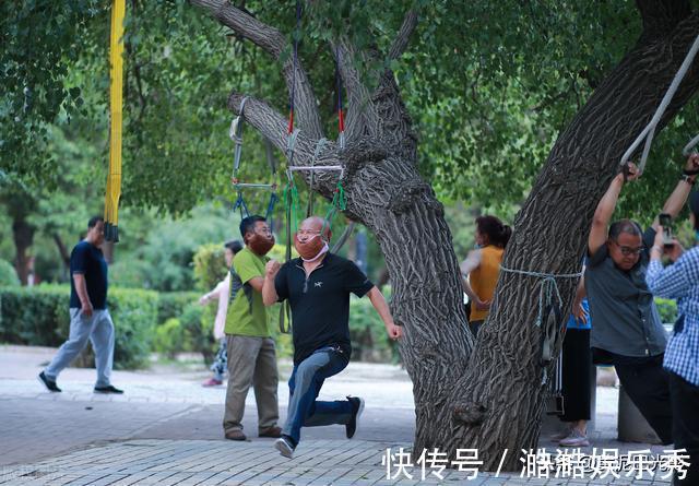 低头族|沈阳1棵大树上“吊满”许多大爷,知情人说这有名堂,看是啥