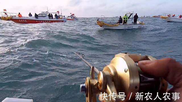 浙江4名男子驾船3小时去海钓,收获了17条大黄鱼,总价值4.4万元