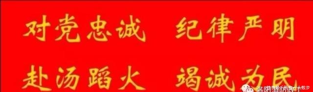 「荐读」你我的故事大树之恩