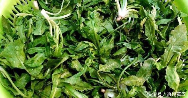 学会|冬天,记得多给家人喝此汤,暖胃养胃,营养极高,学会有口福了