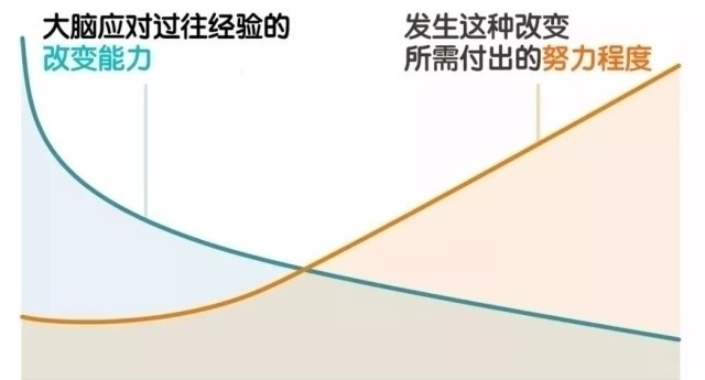 dh孩子总是学习差,父母错过孩子大脑发育黄金期,却逼孩子加倍努力