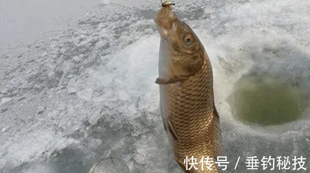 冬天钓鲤鱼,最藏鱼的两种钓点,咬钩就是大家伙!