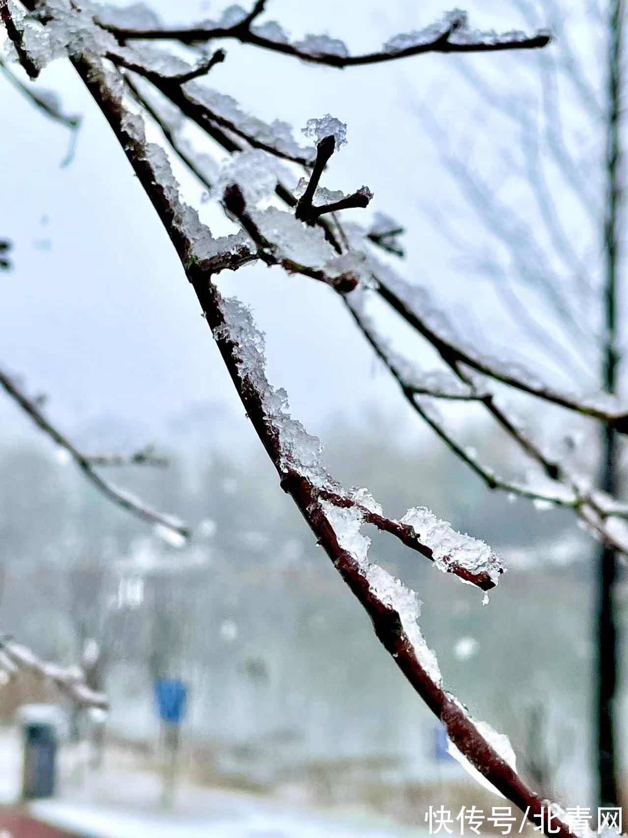 屏保$宁乡油画般的雪景美图 每一幅都能做手机屏保