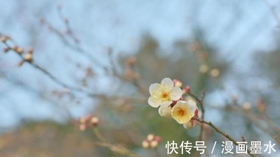 长长久久|8月底，桃花偏爱，沉沦爱情，一见倾心，再难忘记，相伴长长久久