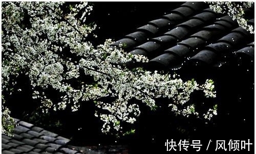 北宋@北宋风流词人的一段情史,成就一首佳作,结尾一句得欧阳修大赞