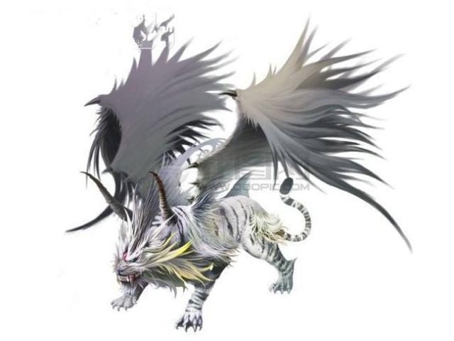 柳二龙|《斗罗大陆1.2》未解之谜