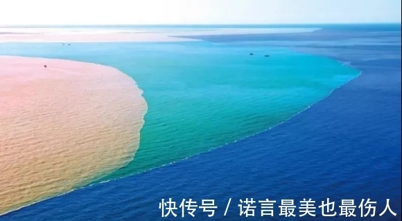 渤海水|为什么渤海水和黄河水不相融，专家揭秘无非就这两个原因，太神奇