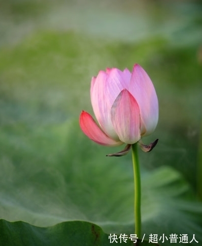 苦尽甜来|未来一周，苦尽甘来，4属相咸鱼翻身，实现目标，生活富贵不愁