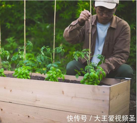 时间表|按照自己的节奏生活，究竟过得有多美好