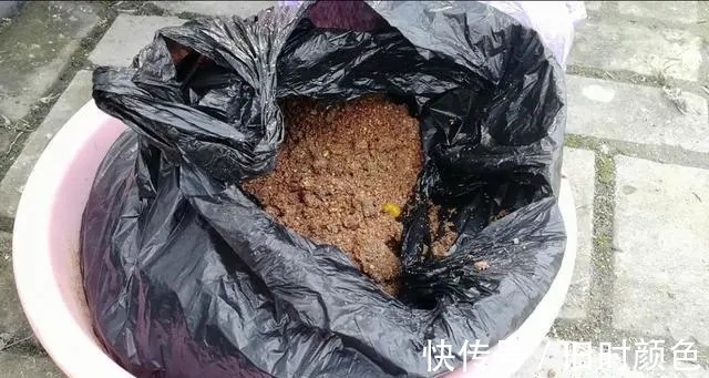 水库作钓要学会这样去打窝，简单好用渔获多！莫不信，高手们都这么做