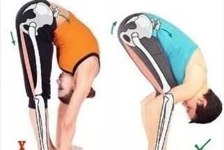 橡皮泥|瑜伽前屈：为什么老师说弯曲膝盖做前屈更安全也更容易？