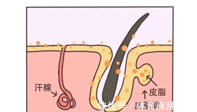 烟酰胺 脸上“又油又干”到底该如何选择护肤品