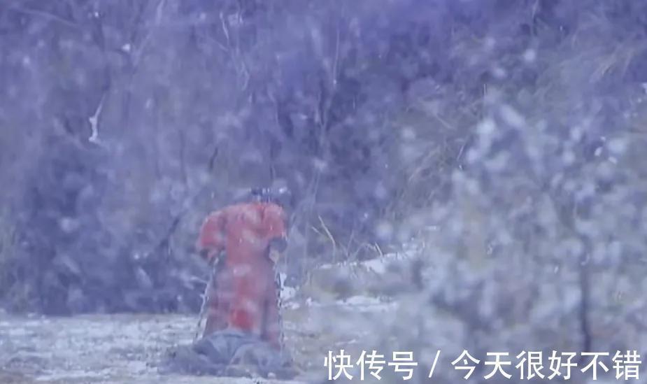 宋凝!《华胥引》宋凝成全沈岸的尊严,却让自己卑微成一棵草