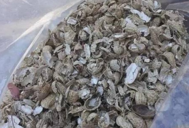 盆土|花盆里放一个小玩意,盆土常年透气不板结,盆栽长得壮开花多