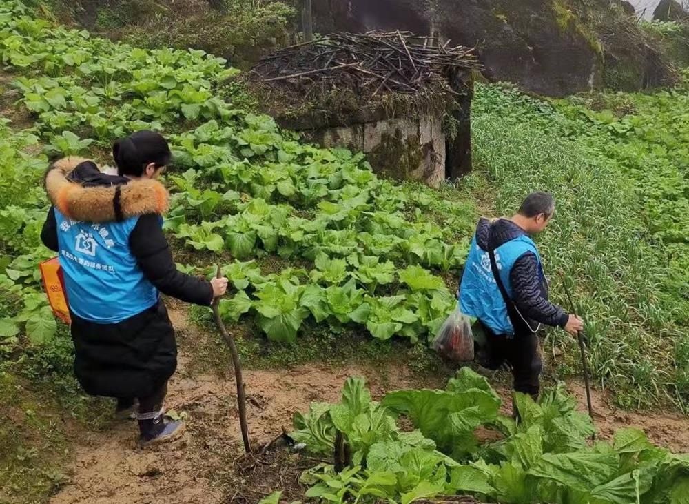 家庭医生|叙永县：暖冬服务，家庭医生在行动