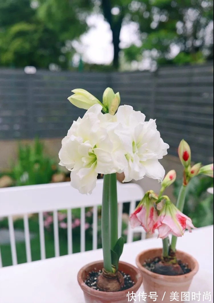 防腐木|为了这个45㎡小院子,坚持买了一楼,打造成花园后比别墅还好看