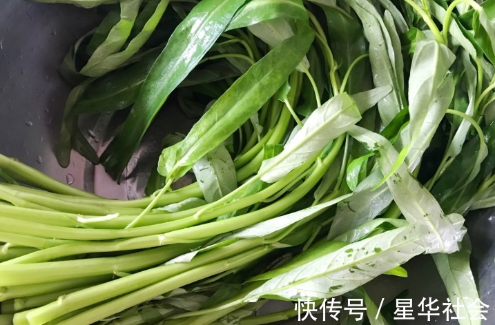 食欲|又到了吃空心菜的最佳季节,炒出来脆嫩爽口不发黑,很有食欲