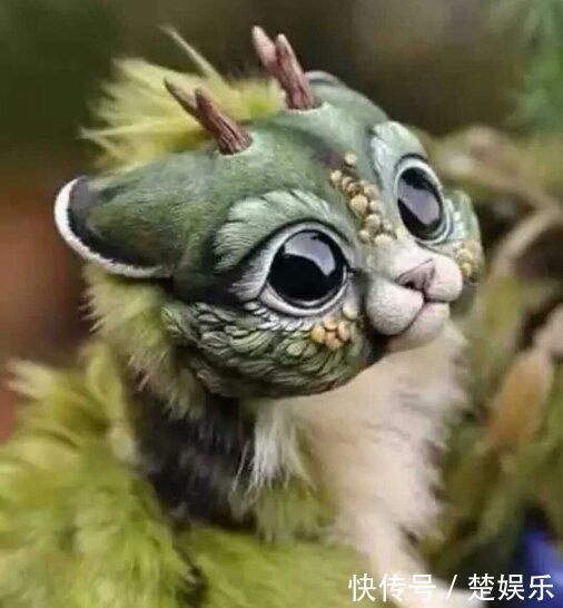 上古神话三大背景强大的神兽,第一大角轩辕,第二陆吾,第三青鸟