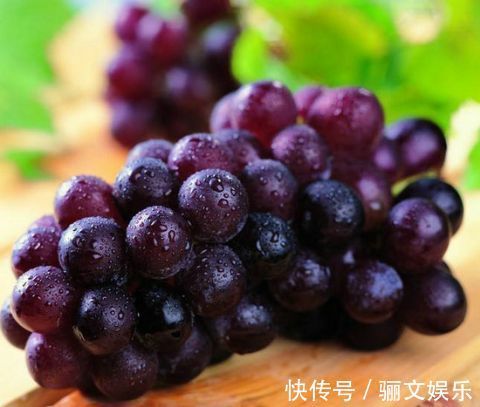 杨梅酒|想长寿多吃这3种水果 葡萄具有抗氧化能力