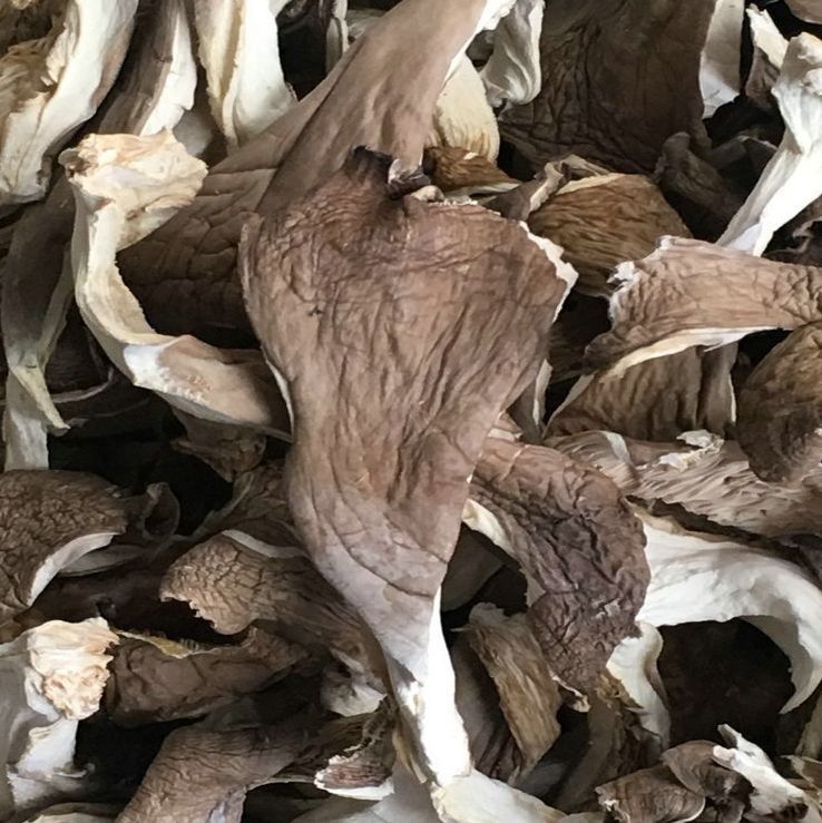 买平菇，挑大的还是小的？菇农教你4个妙招，新鲜品质好，更好吃