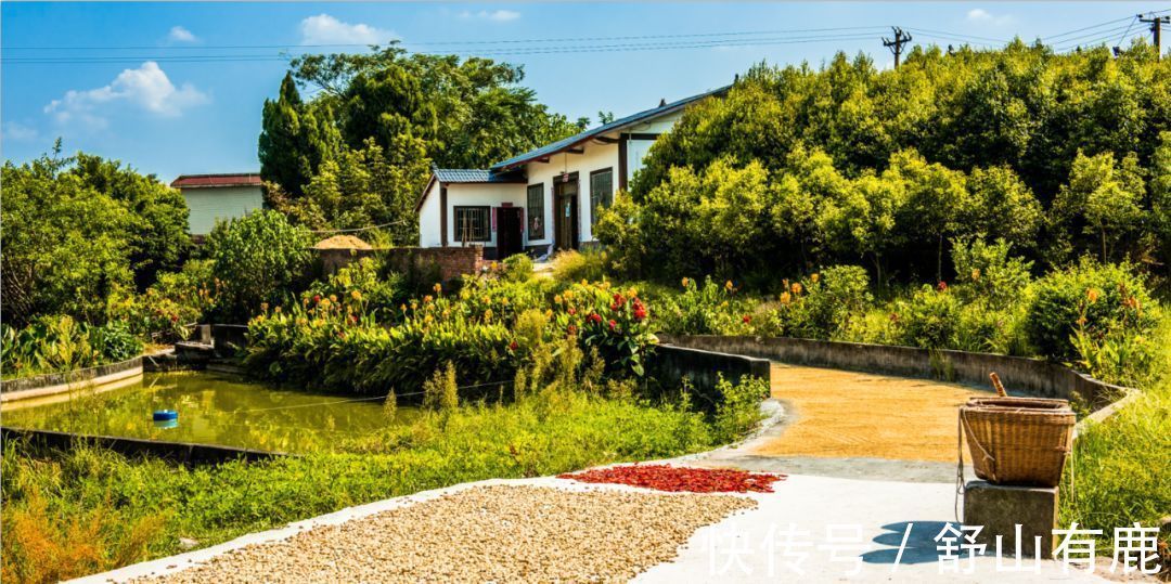 鸽子笼|人老了,回到农村盖新房子,会造福全家好几代人