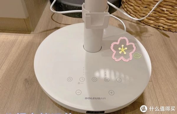 收纳|我妈第一次来我家，直接惊呆，吐槽：原来你的钱都是这样花光的